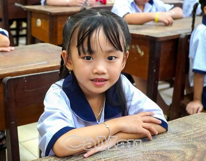 Khối lớp 1 năm học 2026-2027 là thế hệ học sinh đầu tiên từ khi trường chính thức mang tên Trường Phổ thông Cà Mau - Ninh Bình.