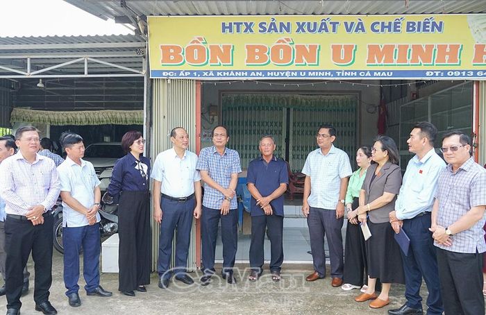 Đoàn khảo sát tham quan HTX sản xuất và chế biến Bồn bồn U Minh Hạ.
