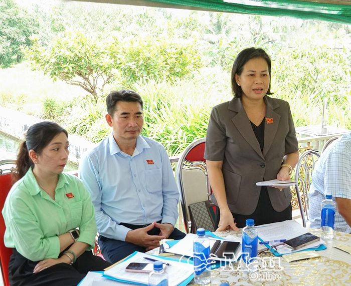 Bà Vũ Hồng Như Yến, Trưởng Ban Kinh tế - Ngân sách, HĐND tỉnh Cà Mau, phát biểu tại buổi làm việc.