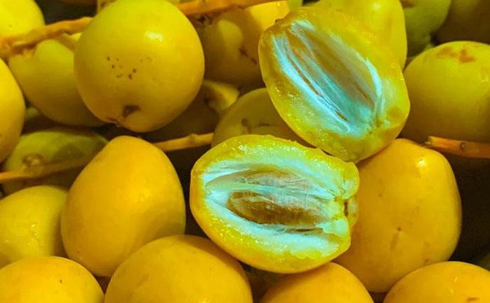Chà là có hương vị khá thú vị - Ảnh minh hoạ