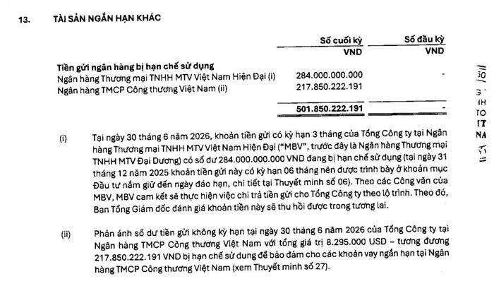 Hơn 501 tỷ đồng tiền gửi ngân hàng của Đạm Phú Mỹ đang bị hạn chế sử dụng tại thời điểm 30/6/2026. Ảnh chụp màn hình báo cáo.