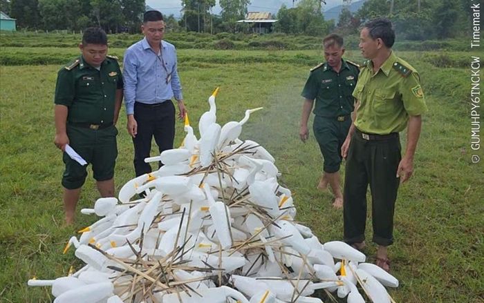 Xã Chân Mây - Lăng Cô (Tp. Huế) tổ chức ra quân kiểm tra, xử lý tình trạng bẫy, bắt chim trời