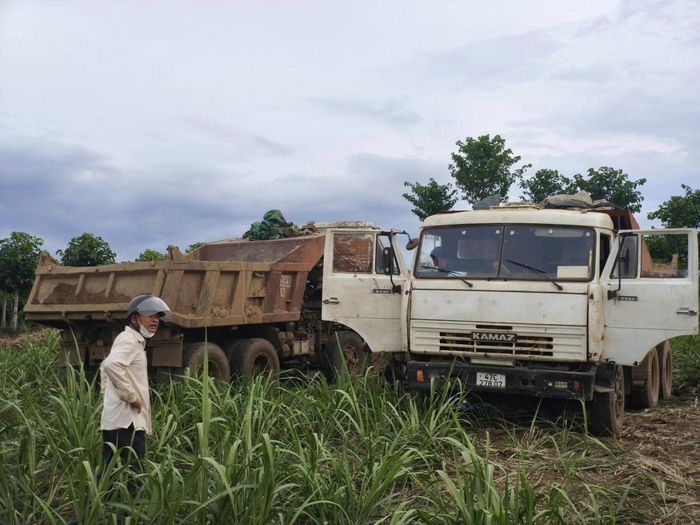 Những chiếc xe kamaz vô tư vận chuyển, san lấp tại hiện trường (ảnh phóng viên chụp lại trước đó).