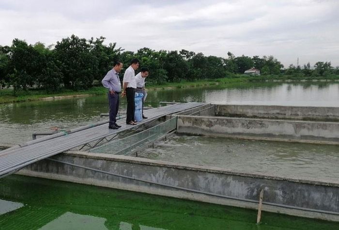 Nuôi trồng thủy sản đang tiếp tục giữ vai trò chủ lực trong ngành thủy sản của Thủ đô. Ảnh minh họa.