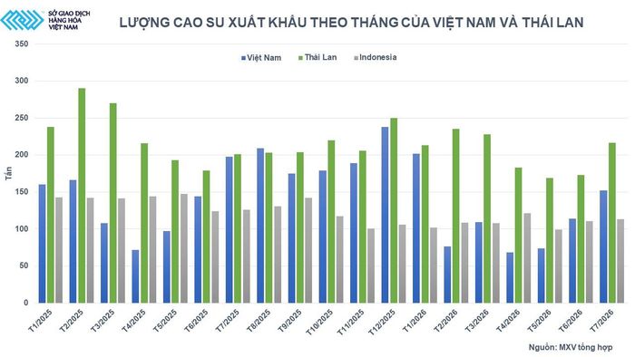 Lượng cao su xuất khẩu theo tháng của Việt Nam và Thái Lan. Nguồn: MXV