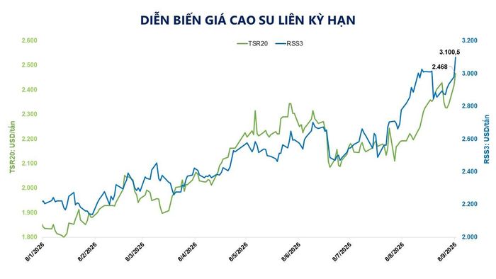 Diễn biến giá cao su liên kỳ hạn. Nguồn: MXV