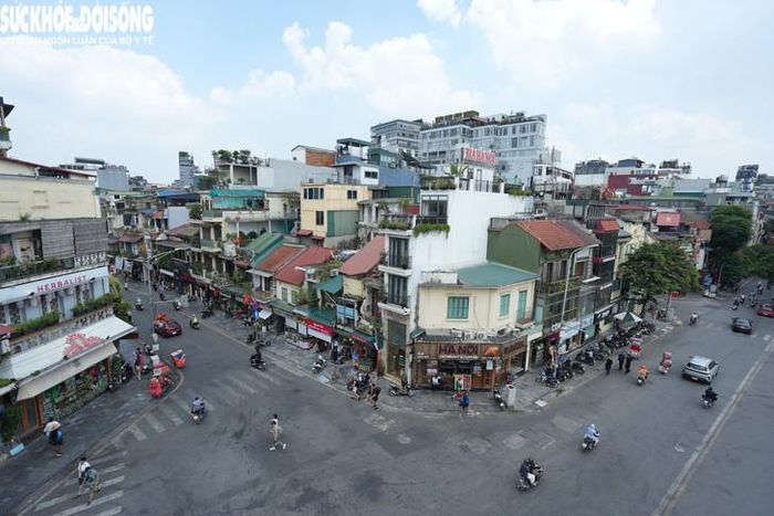 Ranh giới nghiên cứu phía bắc giáp các phố Hàng Gai, Cầu Gỗ; phía nam giáp Hai Bà Trưng, Đặng Thái Thân; phía tây giáp Hàng Trống, Nhà Thờ, Ấu Triệu, Nhà Chung và Quang Trung.