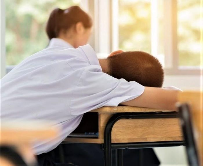 Bận rộn, áp lực công việc, học tập hoặc thói quen thức khuya dễ gây buồn ngủ vào ngày. Ảnh: ST