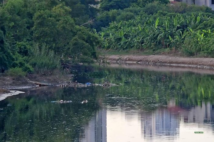 Rác, bùn và bèo xuất hiện tại nhiều vị trí trên dòng sông. Ảnh: T.Anh
