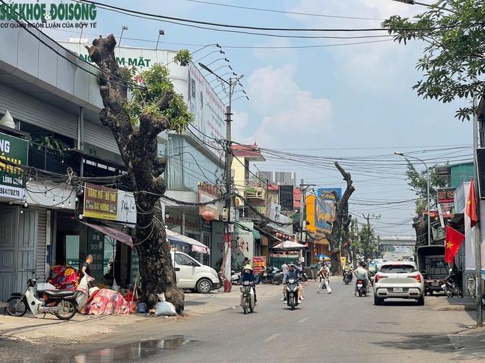 Dự án đầu tư xây dựng, mở rộng đường 70 có tổng mức đầu tư là 3.377 tỷ đồng, chiều dài toàn tuyến khoảng 4,95 km, gồm 2 đoạn tuyến. Đoạn 1 từ Trịnh Văn Bô tới Cầu Ngà, dài khoảng 3,25 km có mặt cắt điển hình là 50 m. Đoạn 2 từ Đại lộ Thăng Long đến đường Ngô Thì Nhậm kéo dài, khoảng 1,7 km, có mặt cắt ngang là 40 m. Ảnh: Phúc Đức