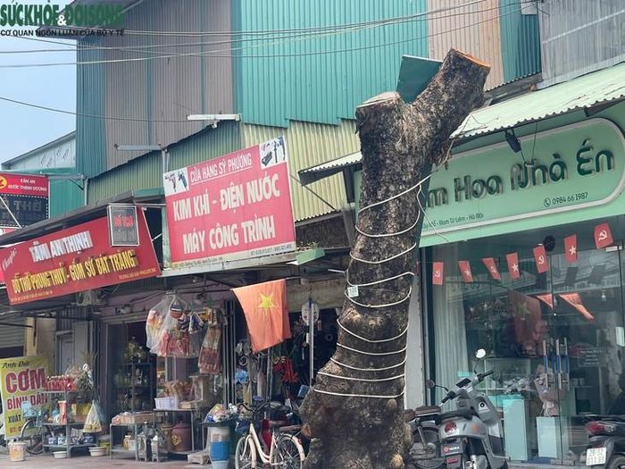 Tổng diện tích đất thu hồi 229.319,6m2 (theo Biên bản xác định mốc giới ngày 20/12/2024 của Sở Tài nguyên và Môi trường Hà Nội). Bao gồm: Địa bàn phường Tây Mỗ: khoảng 68.879,6m2; Địa bàn phường Xuân Phương: khoảng 139.208,7m2; Địa bàn xã Sơn Đồng: khoảng 21.231,3m2. Ảnh: Phúc Đức