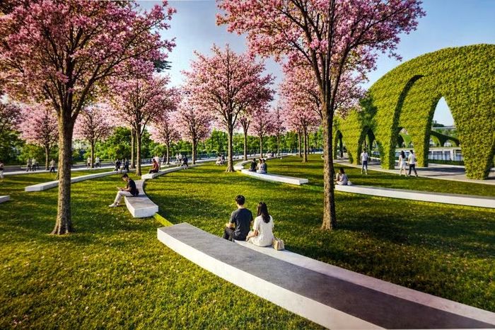 Người dân ngồi nghỉ ngơi trên những băng ghế đá dài uốn lượn dưới tán hoa ban hồng rực rỡ tại khu vườn cảnh quan nâng cao 3m.