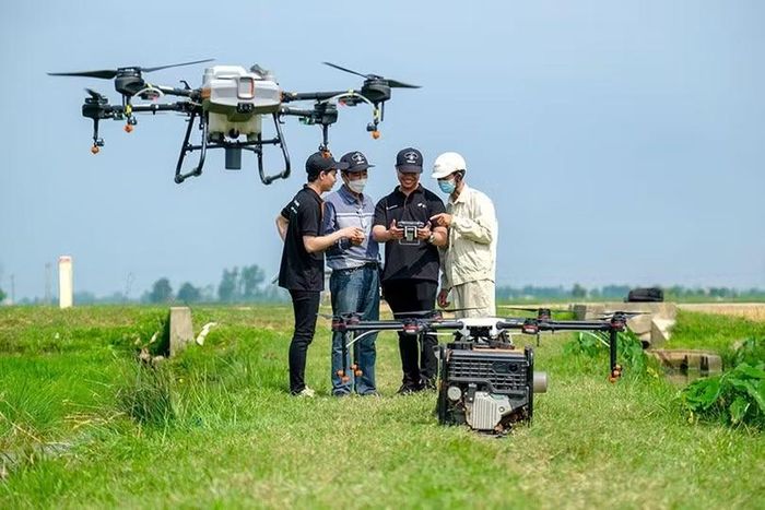 Sử dụng drone trong nông nghiệp (Ảnh minh hoạ)