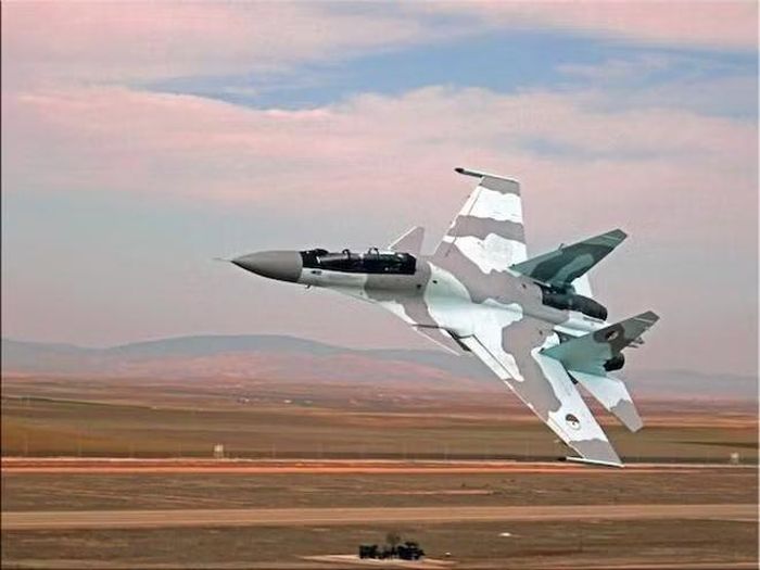 Tuy nhiên xét đến hiệu suất vượt trội của Su-30, việc thử nghiệm cả hai loại máy bay chiến đấu tại Algeria đã xác định rằng chi phí bổ sung là hoàn toàn xứng đáng.