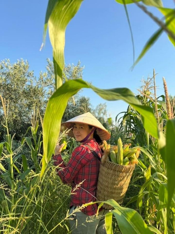Cuộc sống mà chị Quỳnh và ông xã đã mơ ước từ lâu.