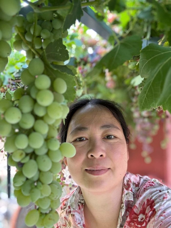 Gia đình chị Quỳnh chọn lối sống hòa mình vào thiên nhiên, chủ động nguồn thực phẩm sạch từ khu vườn.