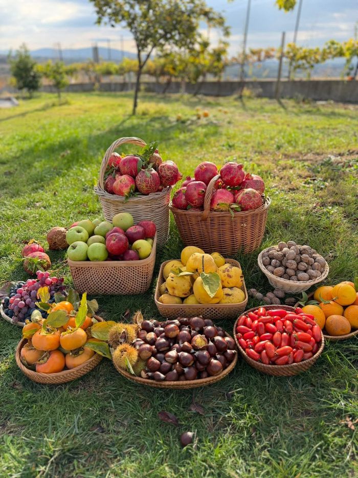 Trái cây và thực phẩm tươi rói được thu hoạch từ vườn nhà chị Quỳnh.