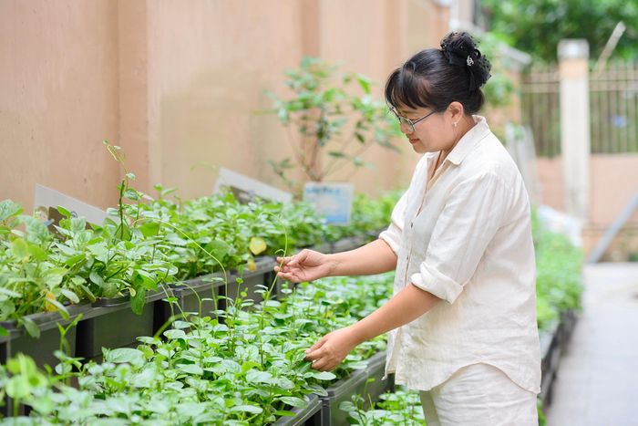 Song song việc hoàn tất sửa chữa, cải tạo cơ sở vật chất, trường Tiểu học Đặng Trần Côn cũng đang chuẩn bị các thủ tục để sớm triển khai bếp ăn bán trú khi đủ điều kiện. Về quy trình triển khai bếp ăn, bà Phạm Thúy Hà cho biết UBND phường đã ban hành văn bản hướng dẫn. Nhà trường đang hoàn thiện hồ sơ, thực hiện các quy trình cần thiết để gửi phường thẩm định và lựa chọn bếp ăn đáp ứng các yêu cầu về vệ sinh, an toàn thực phẩm. Khi hoàn tất sửa chữa và bảo đảm các điều kiện cần thiết, trường sẽ tổ chức lại hoạt động bán trú cho học sinh.