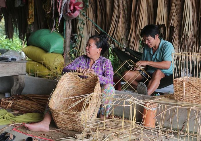 Nghề đan đát xã Hồng Dân (tỉnh Cà Mau) tuy cho thu nhập không cao để người dân có thể làm giàu, nhưng là công việc ổn định, giúp nuôi sống nhiều gia đình. Ảnh: Tuấn Kiệt - TTXVN