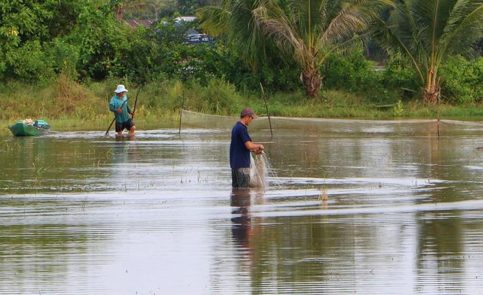 Nước lũ về mang theo phù sa và nguồn thủy sản, tạo thêm sinh kế cho nhiều hộ dân. Ảnh: Duy Khương – TTXVN
