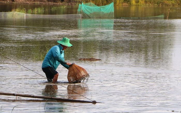 Người dân giăng lưới, đặt dớn để bắt cá, tôm và các sản vật tự nhiên mùa lũ. Ảnh: Duy Khương – TTXVN