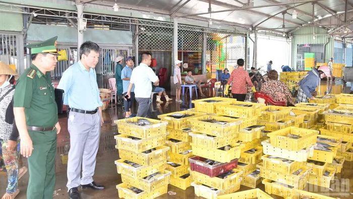 Kiểm tra nguồn hải sản tại Cảng cá Mỹ Tho, tỉnh Đồng Tháp. (Ảnh: NGUYỄN SỰ)