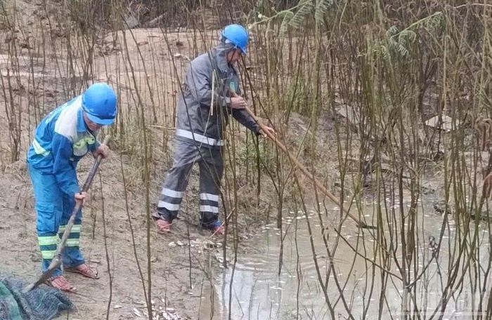 Thu dọn, xử lý xác cá chết trên sông Trà Khúc để giảm thiểu ô nhiễm môi trường. (Ảnh: HIỂN CỪ)