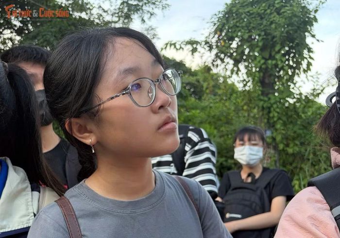 Sinh viên quan sát các xe buýt chạy đến trạm để chờ lên xe.