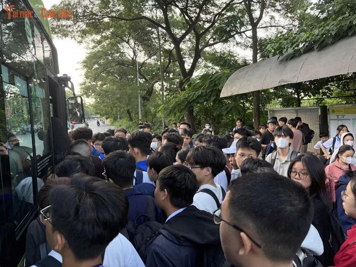 Mỗi khi xe buýt điện tiến vào trạm, hàng dài sinh viên lập tức dồn về phía cửa xe để tìm cách lên xe.