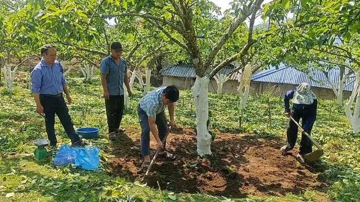 Từ những lớp học nghề, người dân có công việc ổn định để phát triển sinh kế bền vững.