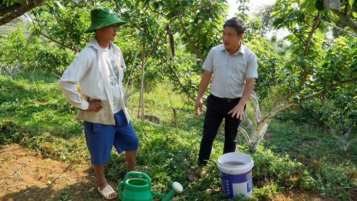  Các lớp đào tạo nghề giúp người dân nắm vững kỹ thuật chăm sóc cây trồng. 