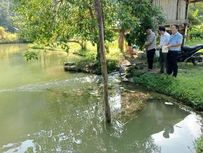 Mô hình nuôi cá của người dân địa phương.