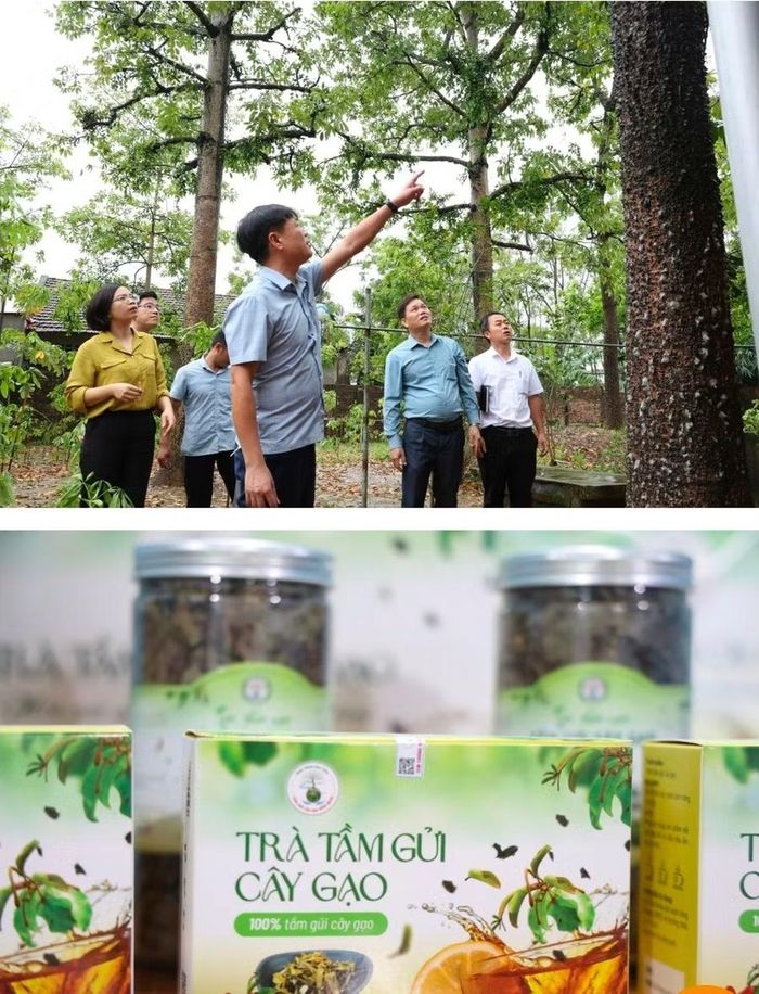 Đưa người dân đi học hỏi các mô hình kinh tế của tỉnh bạn.