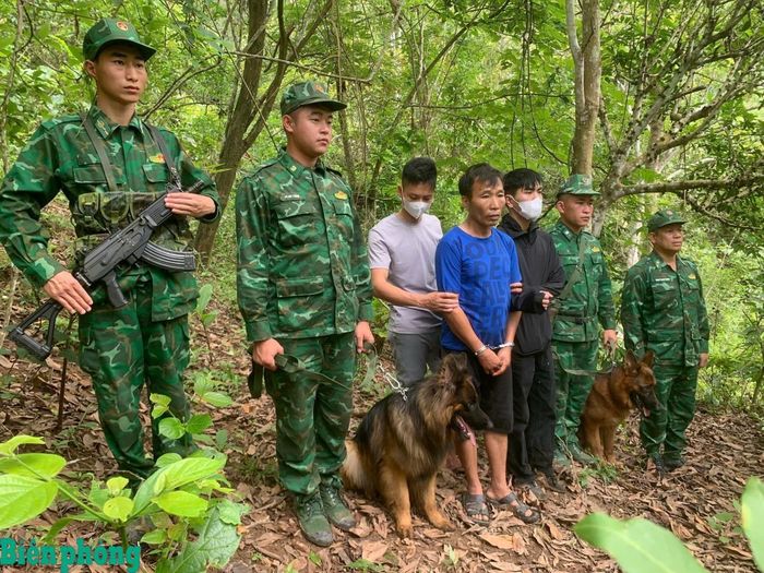 Học viên khóa 13, Trường Trung cấp 24 Biên phòng phối hợp sử dụng chó nghiệp vụ xử lý tình huống truy bắt tội phạm trong đợt thực tập tốt nghiệp tại Ban Chỉ huy Bộ đội Biên phòng tỉnh Điện Biên. Ảnh: Quang Thanh
