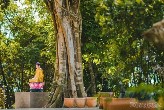 Bao bọc lấy khối kiến trúc lộng lẫy là một khuôn viên rộng lớn, rợp bóng cây xanh mướt và những hồ nước trong vắt. Không gian này giúp làm dịu đi cái nắng oi ả của vùng đất Nam Bộ, tạo nên một cõi thiền tịnh tuyệt vời để con người thư giãn, chiêm nghiệm.