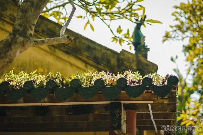 Điểm nhấn dễ nhận thấy và ấn tượng nhất chính là hệ thống mái ngói cong - đặc trưng không thể thiếu trong kiến trúc chùa Khmer.
