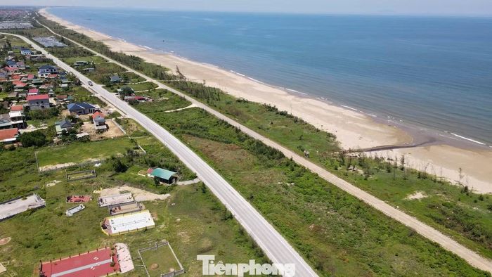 Rừng phi lao dọc tuyến ven biển đến xã Cổ Đạm bị bão tàn phá, nhiều đoạn bị cạo trọc.