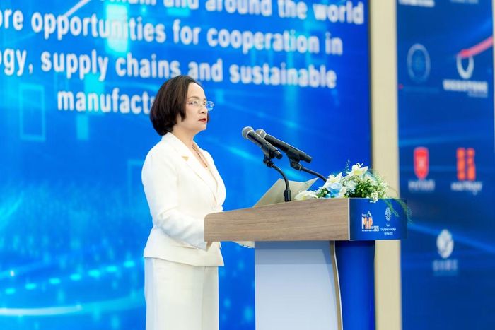 Bà Lý Hoa Liên - Phó Tổng giám đốc Phát triển Kinh doanh và Đối ngoại VEC chia sẻ tại chương trình.