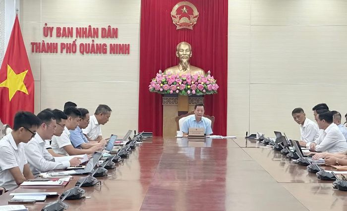 Ông Lê Văn Ánh – Phó Chủ tịch UBND thành phố Quảng Ninh chủ trì buổi làm việc