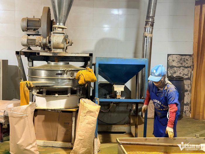 Việc làm sau đào tạo nghề phải được đánh giá bằng thu nhập và khả năng duy trì sau 6 - 12 tháng. Ảnh: Hoàng Quý