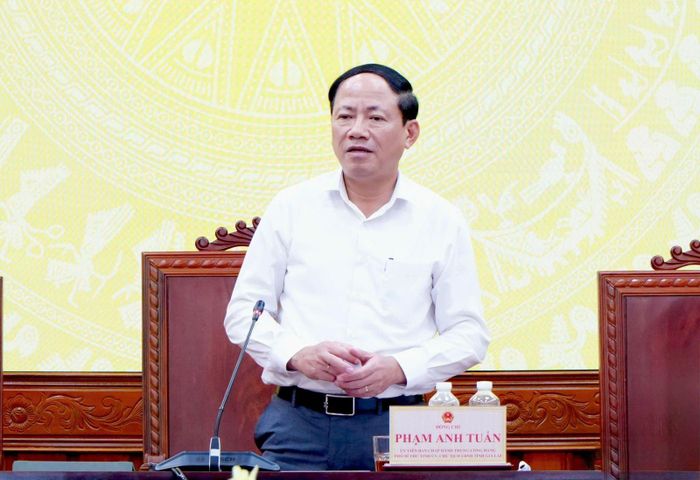 Chủ tịch UBND tỉnh Gia Lai Phạm Anh Tuấn phát biểu tại hội nghị. Ảnh: Kim Loan