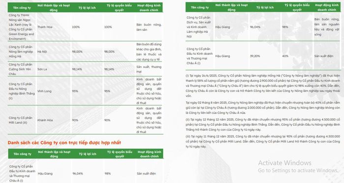 Các công ty con, liên kết của HSL.