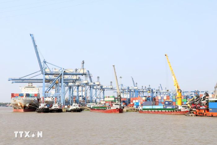 Tân cảng Cát Lái. (Ảnh: Tiến Lực/TTXVN)