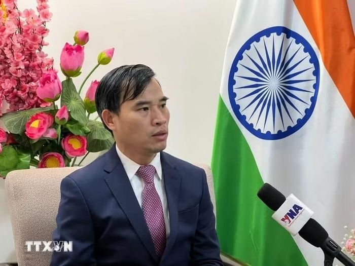 Tham tán Thương mại Việt Nam tại Ấn Độ Bùi Trung Thướng trả lời phỏng vấn của phóng viên TTXVN tại New Delhi. (Ảnh: Vũ Hà/TTXVN)