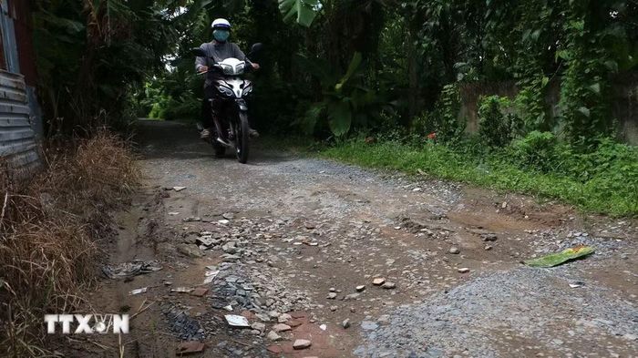Tuyến đường nông thôn Quang Phong, dài hơn 2km đã xuống cấp nhiều năm qua, khiến việc đi lại của người dân gặp nhiều khó khăn. (Ảnh: Duy Khương/TTXVN)