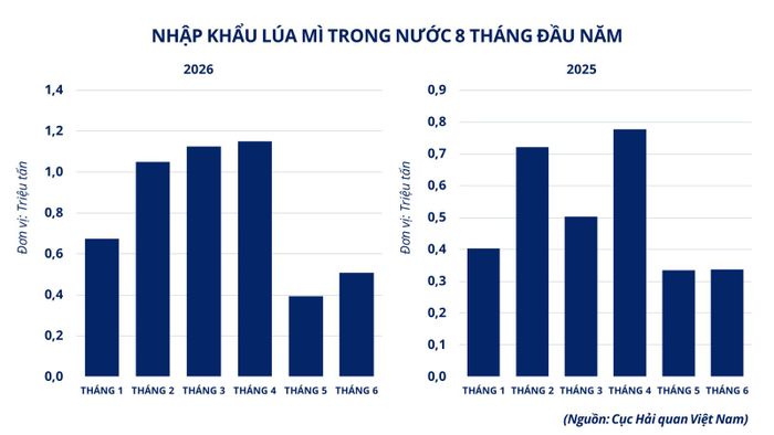 Nhập khẩu lúa mì Việt Nam 8 tháng đầu năm.