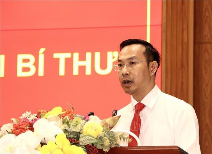 Đồng chí Nguyễn Thanh Nhàn, Phó Bí thư Tỉnh ủy Đồng Tháp phát biểu nhận nhiệm vụ. Ảnh: Hồng Nhung/TTXVN