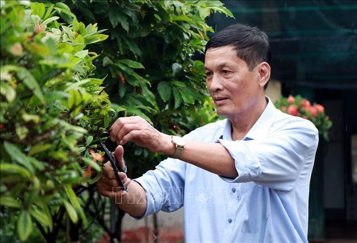 Ông Trần Văn Việt, đảng viên Chi bộ Triệu Thông, xã Hải Hậu (Ninh Bình) gương mẫu, đi đầu phát triển kinh tế.