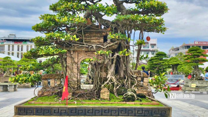 Qua bàn tay tạo tác của nghệ nhân, mỗi cây mang một dáng thế riêng.