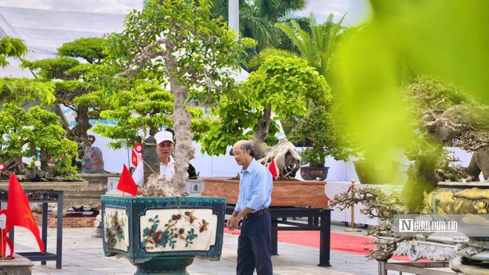 Các tác phẩm được tuyển chọn theo tiêu chí "cổ - kỳ - mỹ văn".